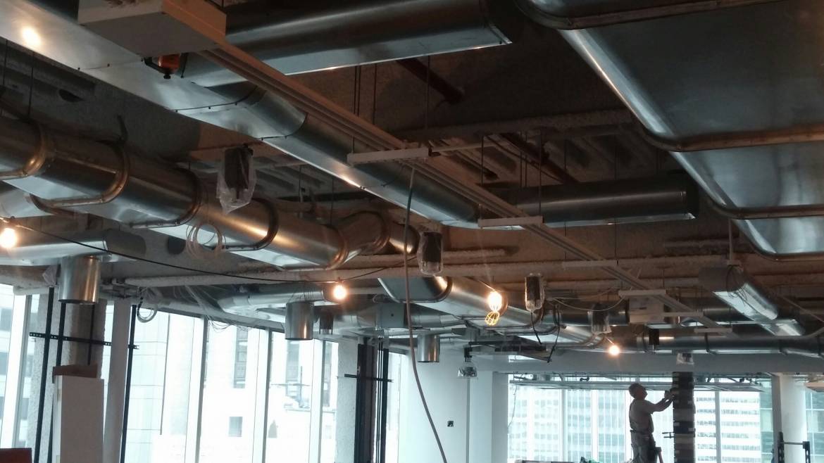 20150320_101700_resized.jpg